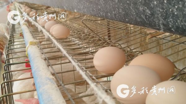 �������壺���������¸�·